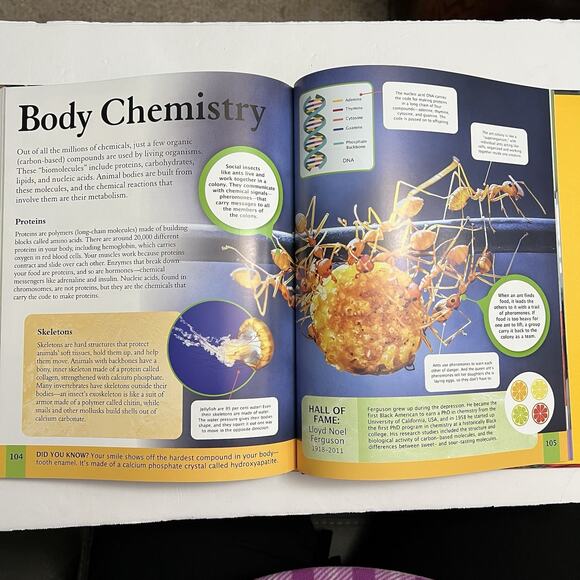 Childrens Encyclopedia of Chemistry by Janet Bingham Hardcover Educational - Picture 7 of 9